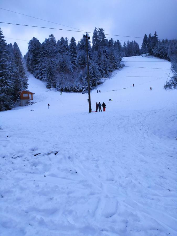 Double Holiday home Gerardmer