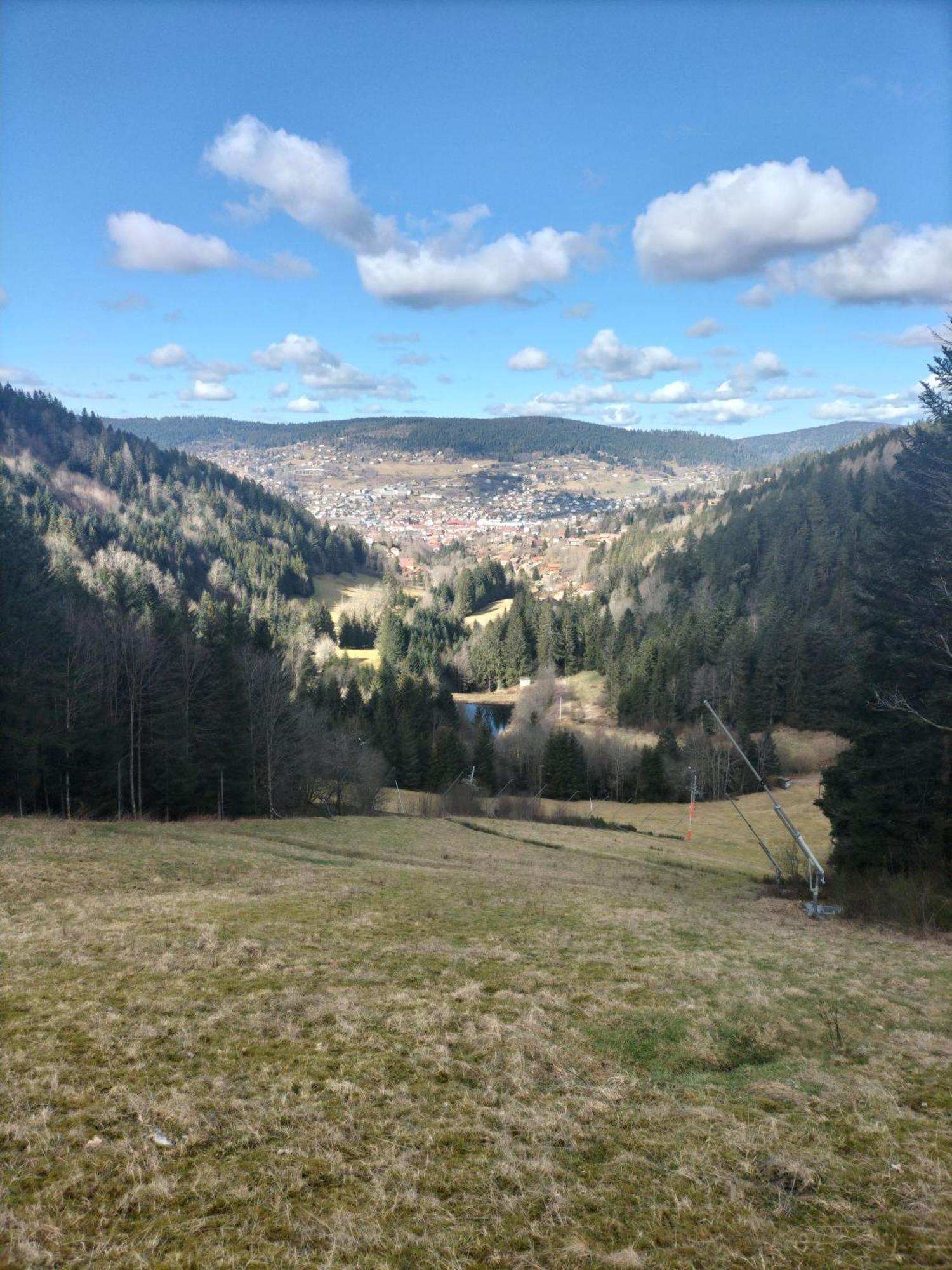 Double Holiday home Gerardmer